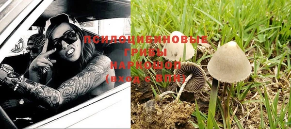 таблы Медвежьегорск