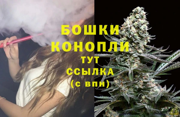дмт Мегион