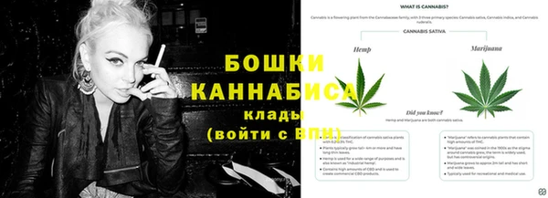 дмт Мегион