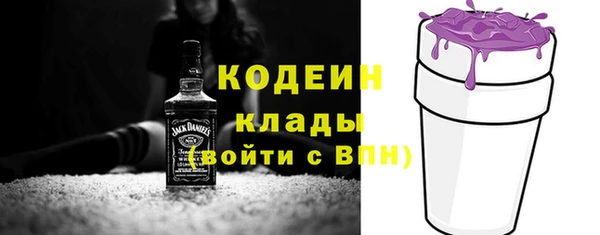 дмт Мегион