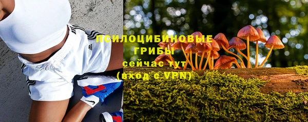 дмт Мегион