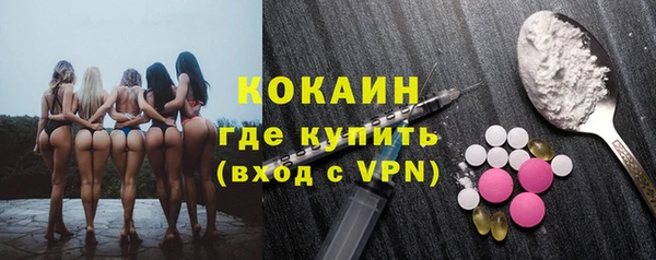 дмт Мегион