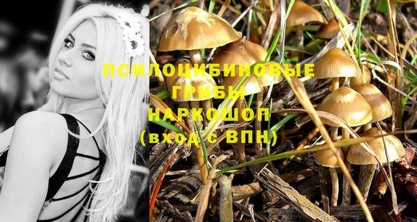 дмт Мегион